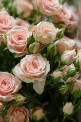 Similar image 21454375