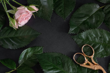 Similar image 21454376