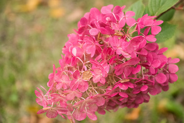 Similar image 21462634