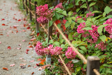 Similar image 21467378