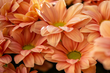 Similar image 21456317