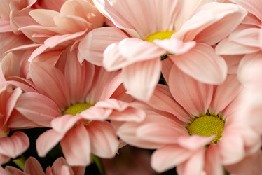 Similar image 21460153