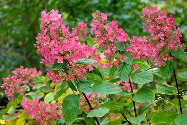 Similar image 21456319