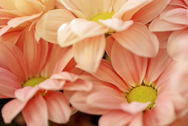 Similar image 21454379