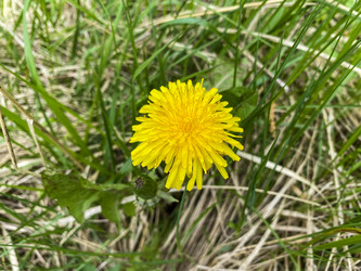 Similar image 21452142