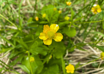 Similar image 21452145