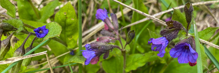 Similar image 21452146