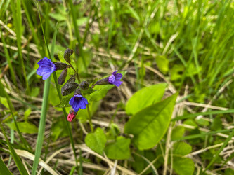 Similar image 21452149