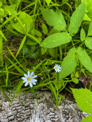 Similar image 21452150