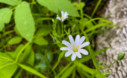 Similar image 21452151