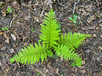 Similar image 21452152