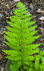 Similar image 21452153