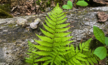 Similar image 21452154