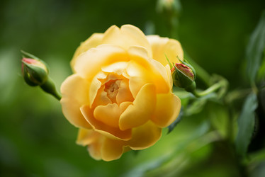 Similar image 21454594