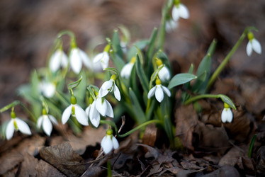 Similar image 21454597