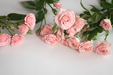 Similar image 21454599