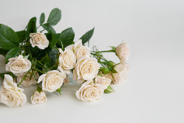 Similar image 21454389