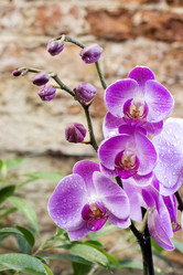 Similar image 21454391