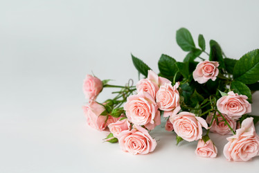 Similar image 21459639