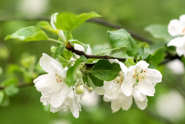 Similar image 21454392