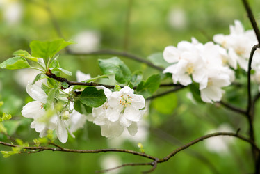 Similar image 21454395