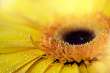 Similar image 21454400