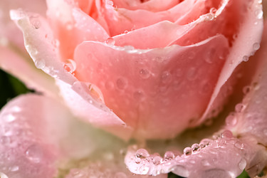 Similar image 21452434