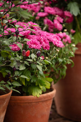 Similar image 21454402