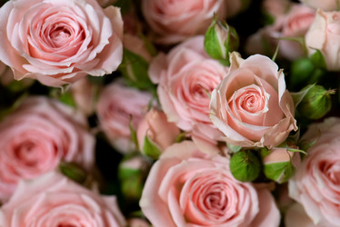 Similar image 21454403