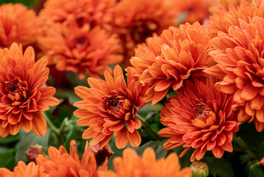 Similar image 21459644