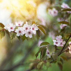 Similar image 21454404