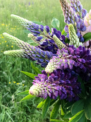 Similar image 21454405