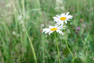 Similar image 21456326