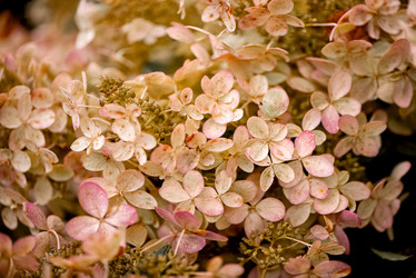 Similar image 21459647