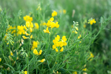 Similar image 21454407