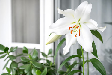 Similar image 21452440