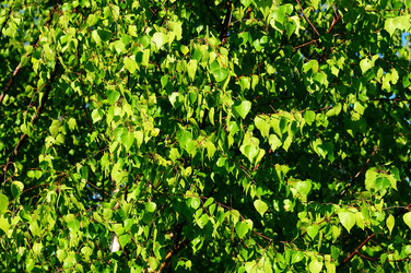 Similar image 21452010