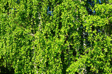 Similar image 21452011