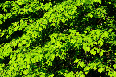 Similar image 21452012