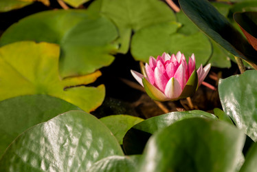 Similar image 21456329