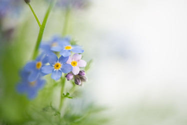 Similar image 21462491