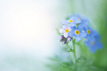 Similar image 21456331