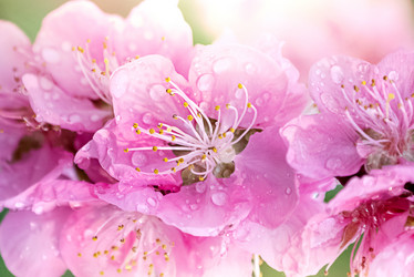 Similar image 21456332