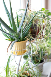 Similar image 21454411