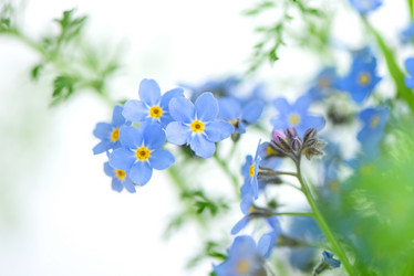 Similar image 21454413