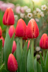 Similar image 21454414