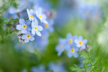 Similar image 21460156