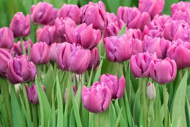 Similar image 21454416