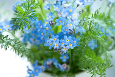 Similar image 21456342