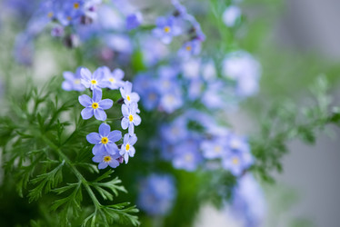 Similar image 21454420